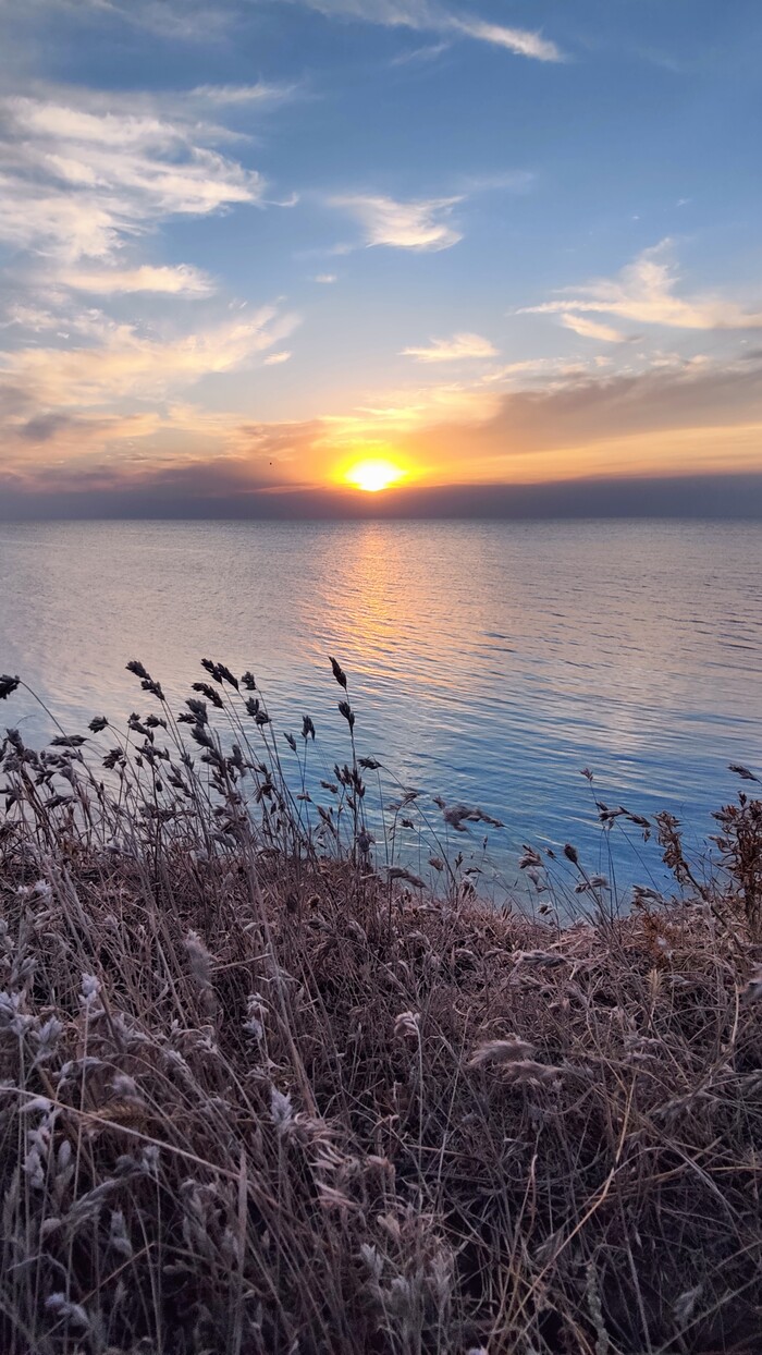 ���� ���������