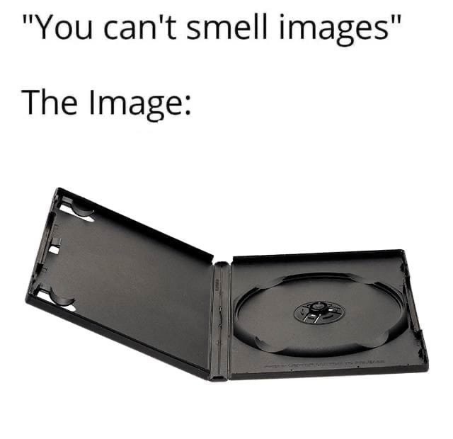 You can't smell the picture - Picture with text, Memes, Discs, Repeat