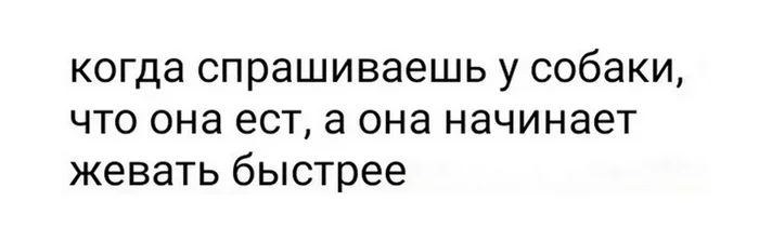Одна загадка природы раскрыта, но впереди еще множество... - Комментарии, Комментарии на Пикабу, Британские ученые, Скриншот, Юмор