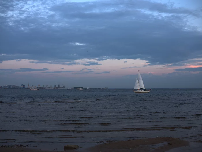 white sail - My, Saint Petersburg, Photographer, The photo, The Gulf of Finland, Sailboat, Sunset, Yacht