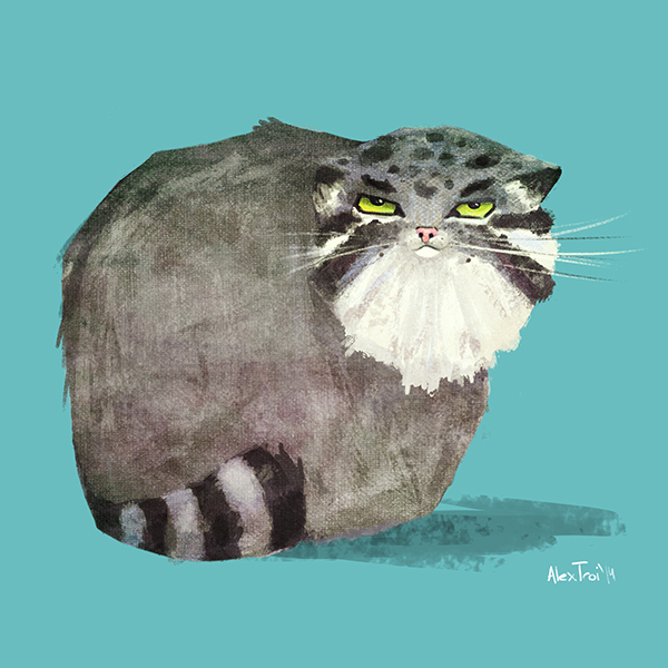 And those too - Pet the cat, Pallas' cat, Illustrations, Longpost