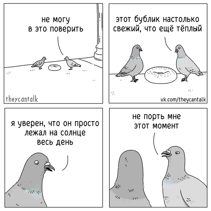 Bagel - Theycantalk, Comics, Translation, Web comic, Pigeon, Bagels, Moment, Animals