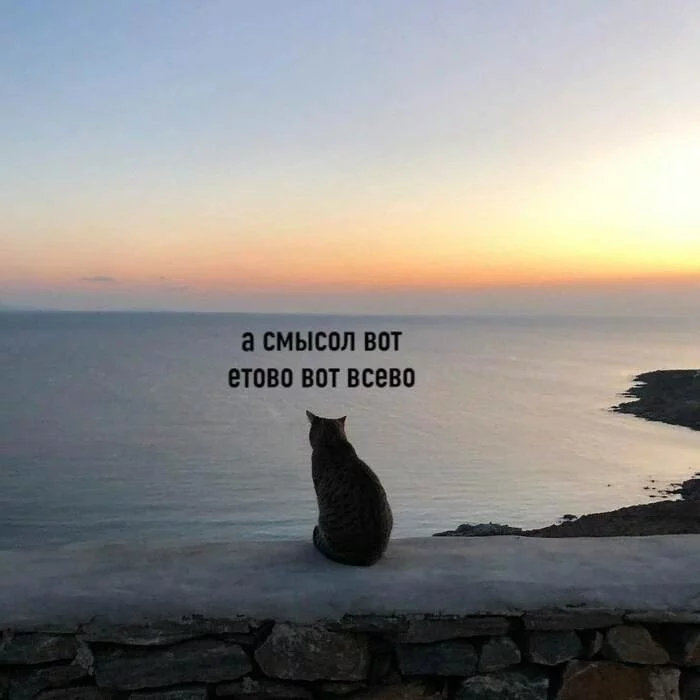 It won't go away - Humor, Picture with text, Depression, Work, Burnout, Pet the cat, cat