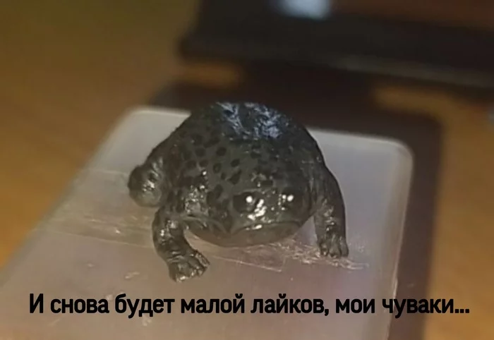 It's Wednesday my dudes! - My, Author's toy, Лепка, Needlework without process, Handmade, Wednesday, Frogs, Miniature, Figurines, Longpost, It Is Wednesday My Dudes