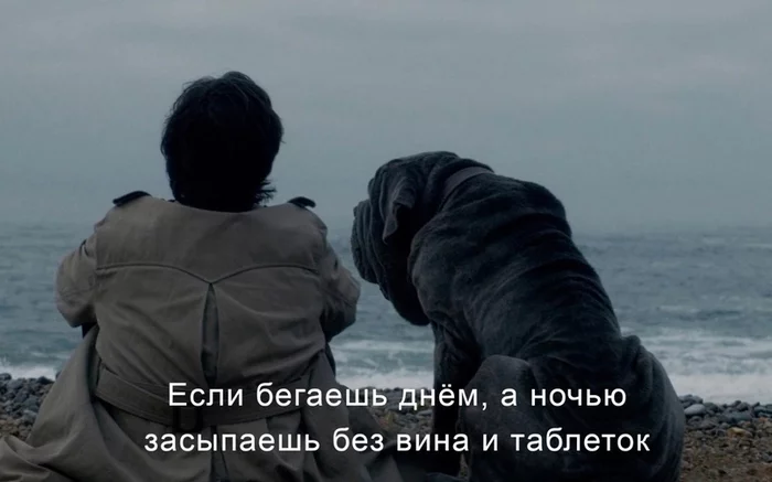 Being a dog... - Thoughts, Images, Sadness, Picture with text, Longpost