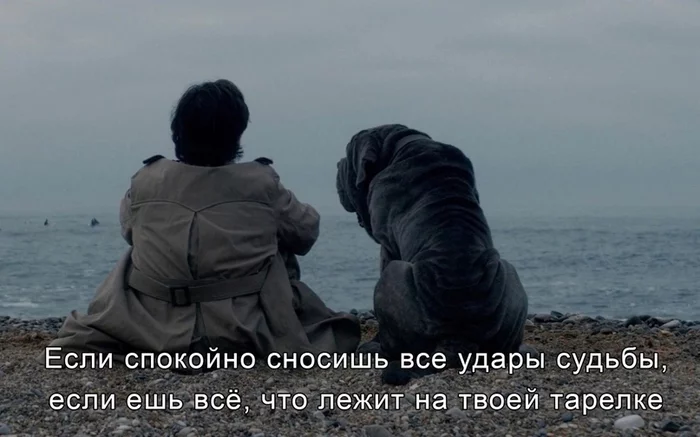 Being a dog... - Thoughts, Images, Sadness, Picture with text, Longpost