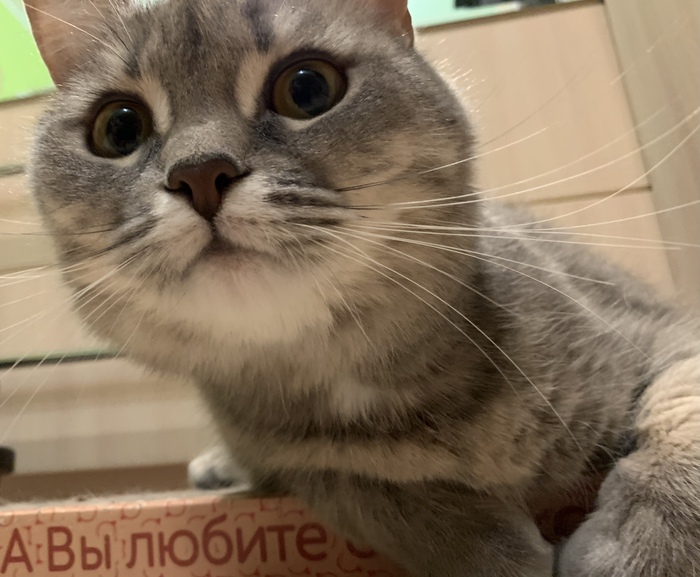       ,   , ,   ,  ,  , , , 