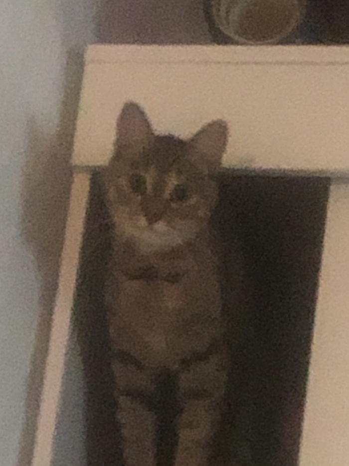    , ,     , -, , , , , 