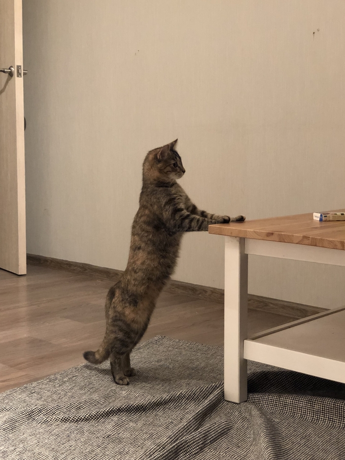   , ,     , -, , , , , 