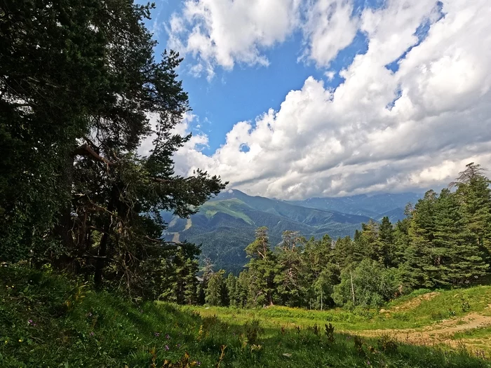 Better mountains can only be mountains that you have not yet been to ... - My, The mountains, Arkhyz, Travels, The photo, Forest, Sky, Clouds, beauty of nature