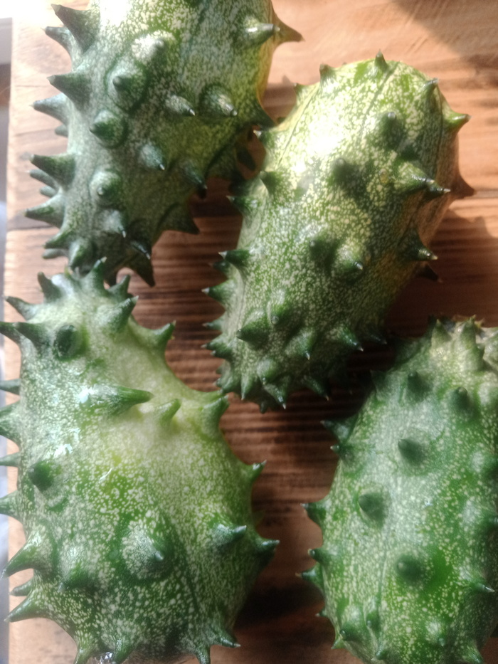 Доктор Попов бы одобрил...