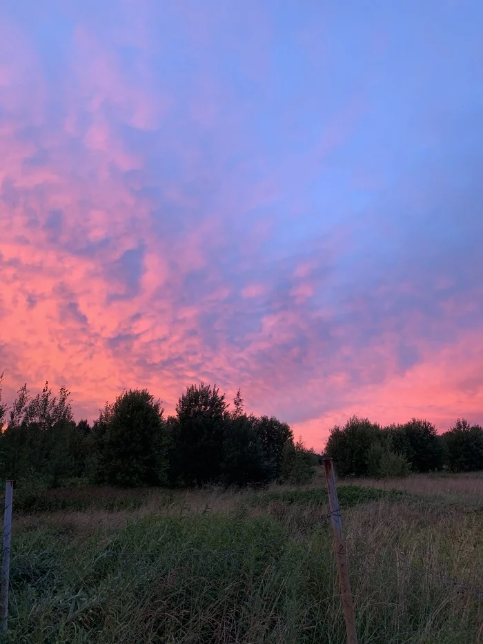 evening sky - Evening, Sky, The photo, Clouds