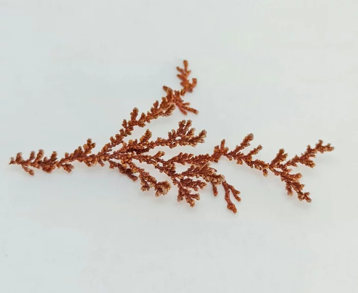 Compilation of copper dendrites - My, Needlework without process, Copper, Dendrite, Crystals, Longpost