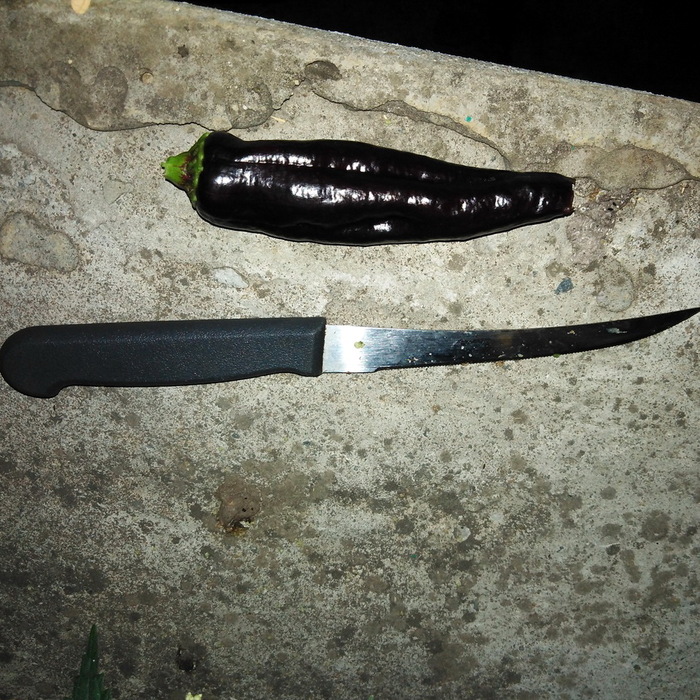    , , , ,   , , 