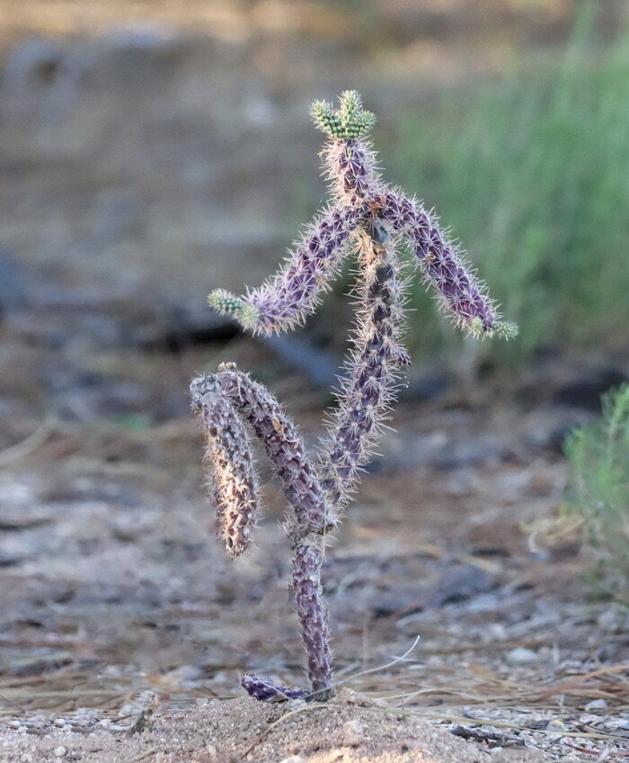 � �� ������� ����, � �� ������� ����