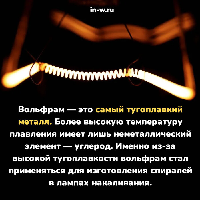 +1 факт в копилку эрудита