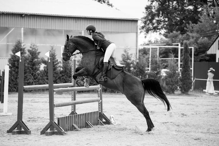 Grace - My, The photo, Black and white, Black and white photo, Horses, Jumping, Rider