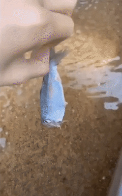    2  , , , , ,  , 