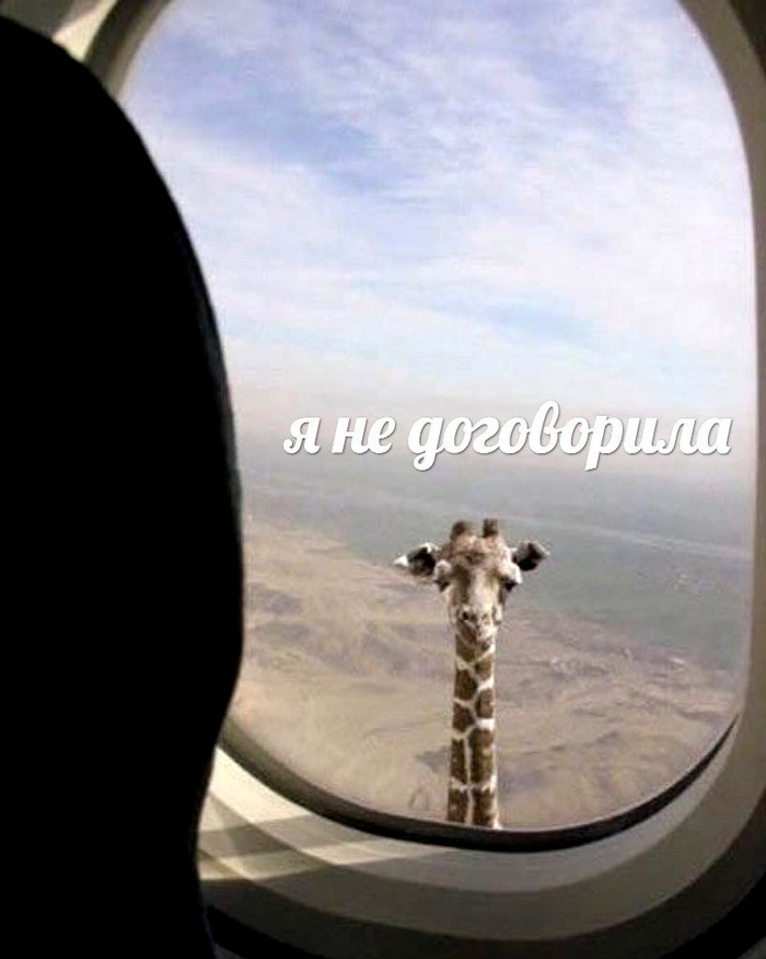 ����� �� ��������� ���� ���������