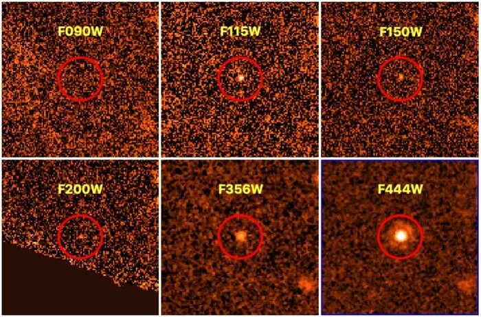 James Webb found a brown dwarf - Astronomy, Space, NASA, Brown dwarf, James Webb Telescope