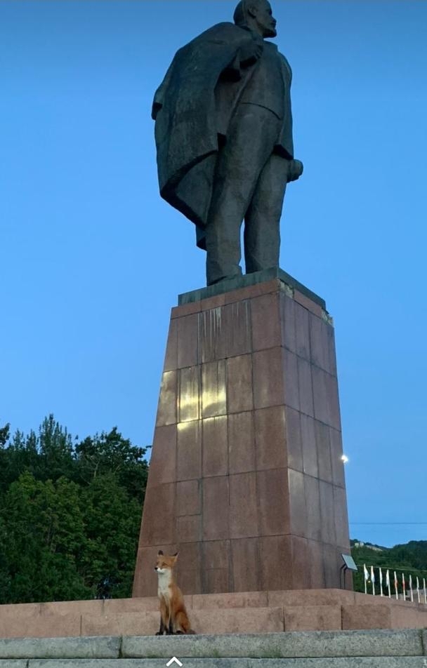 Meet me at Lenin's - Fox, Kamchatka, Lenin monument, City center, The photo