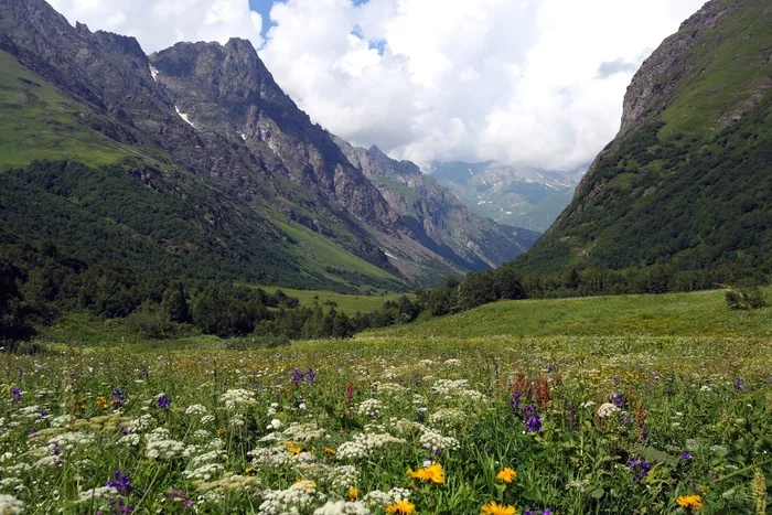 Caucasian State Natural Biosphere Reserve - My, The photo, Nature, The nature of Russia, Russia, beauty of nature, Caucasus, The mountains, Mountain tourism, Republic of Adygea, Caucasian Reserve, River, Flowers, Sky, Landscape, Waterfall, Bridge, Reserves and sanctuaries, Forest, beauty, Gotta go, Longpost