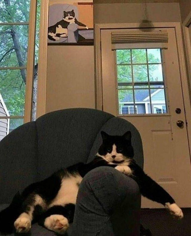    , 