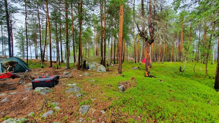 What do they eat on a hike? - My, Russia, Food, Карелия, Tourism, Travels, Fishing, Travel across Russia, Lake, Туристы, Camping, Tent, Kola Peninsula, Hike, Longpost