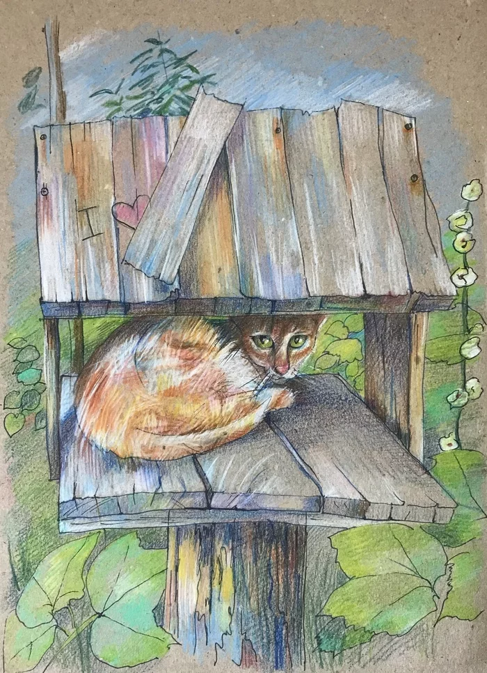 hid - My, Graphics, Colour pencils, Traditional art, Pencil drawing, Luboff00, Birdhouse, cat