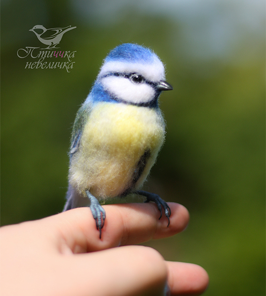 Dry felting. Blue tit - My, Needlework without process, Handmade, Needlework, Friday tag is mine, Birds, Author's toy, Dry felting, Art, Master, Creation, Hobby, Nature, Wool, Animalistics, Collectible figurines, Longpost