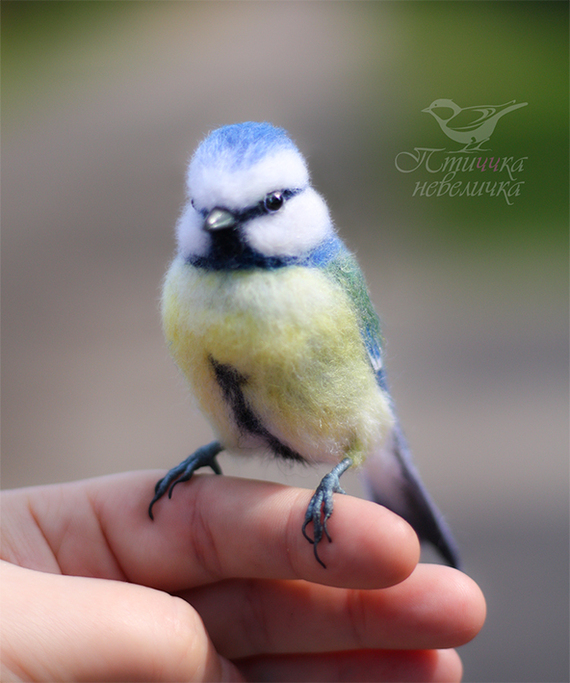 Dry felting. Blue tit - My, Needlework without process, Handmade, Needlework, Friday tag is mine, Birds, Author's toy, Dry felting, Art, Master, Creation, Hobby, Nature, Wool, Animalistics, Collectible figurines, Longpost