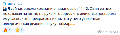 Ну, может, парень с комарихой мутит... - Скриншот, Юмор, Отношения, Девушки, Поцелуй, Засос