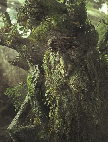 Ents and Huorns. The power and sorrow of the ancient forest - My, Tolkien, Lord of the Rings, Fantasy, Monster, Ents, Dendroid, Middle earth, Bestiary, Longpost