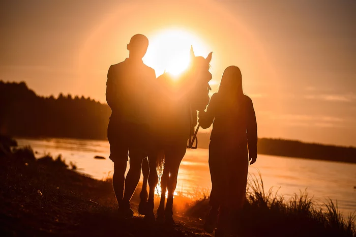 Sunset... - My, The photo, Pets, Summer, Volga river, Sunset, Horses, Silhouette, Nikon D750, Evening