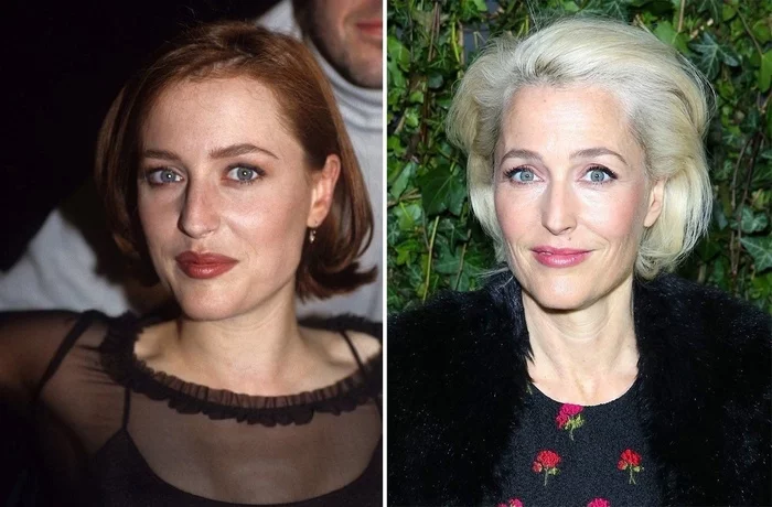 Special Agent Dana Scully - Gillian Anderson, Actors and actresses, Celebrities, Dana Scully, The photo, It Was-It Was, 90th, From the network, Smile, Secret materials
