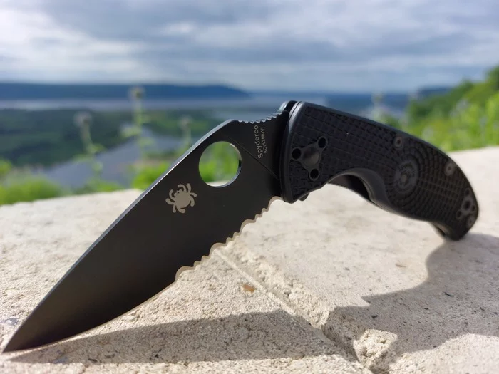 Spyderco tenacious - My, Spyderco, Nature