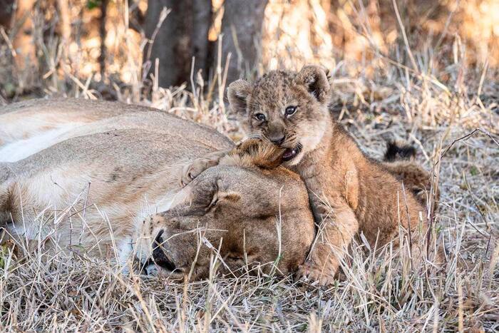 Суббота, раннее утро