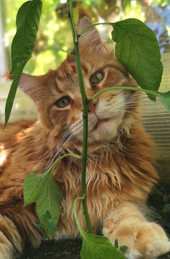 ����� � ������ ��������?