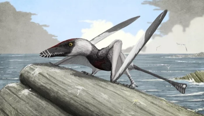 Dorignat: No braces will help him. This pterosaur had spear-like teeth sticking straight out. What for? - Dinosaurs, Paleontology, Animal book, Yandex Zen, Longpost