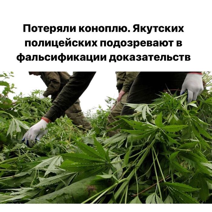  ... , ,  
