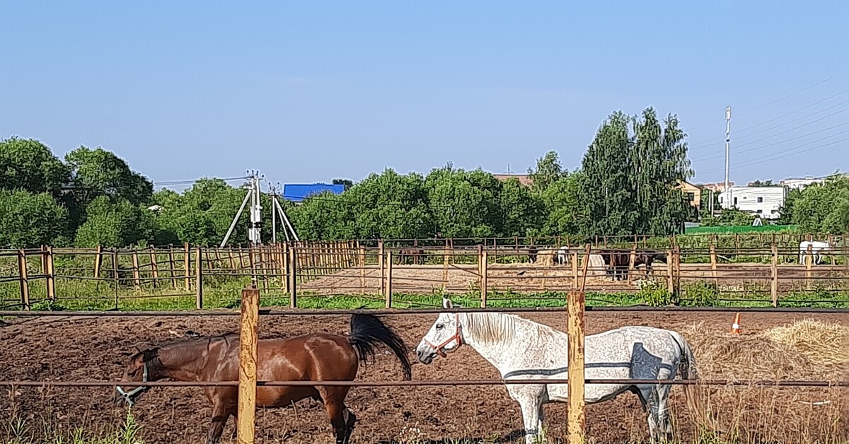 Завод в барыбино каши