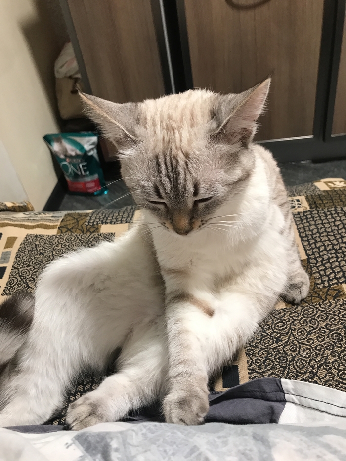 ������. ��� �������� ��������� ����� �������?