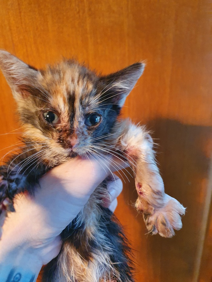 ��������� ������