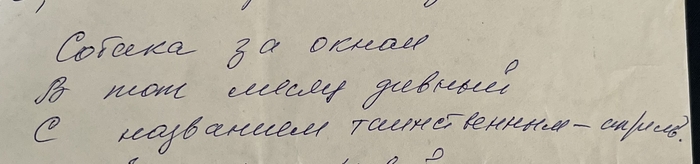 Ответ на пост «Виноват ли скорпион?»