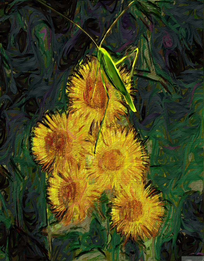 � ����� ����� ��������