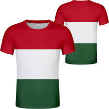 Those who live in Hungary will understand - Flag, Patriotism, Hungary, Longpost