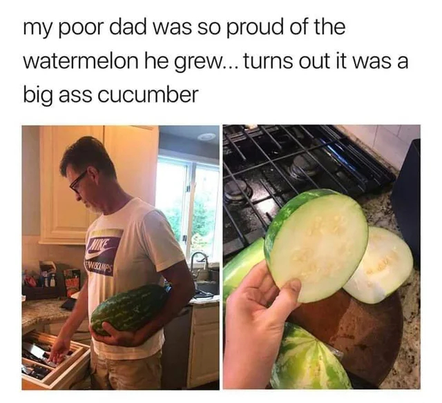 My dad was so proud of the watermelon he grew himself... it turned out to be just a fat ass cucumber - Watermelon, Cucumbers, Sad humor, Fiasco, Humor