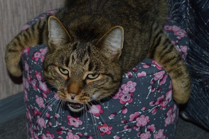 ����� ���� ���, ��� �������� �� ������ ����� ����������