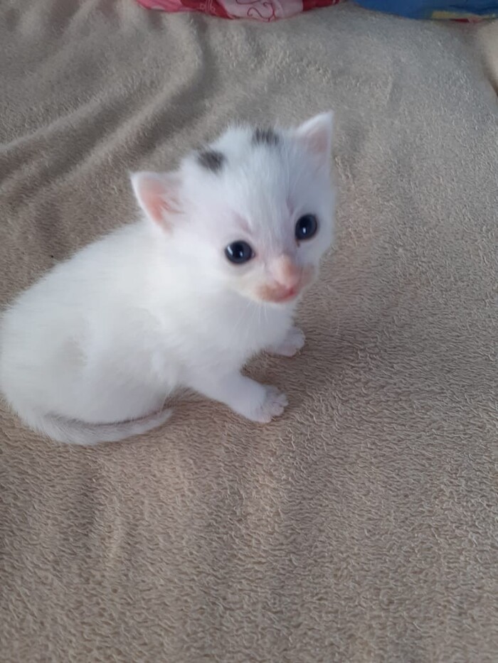 ��� �������?