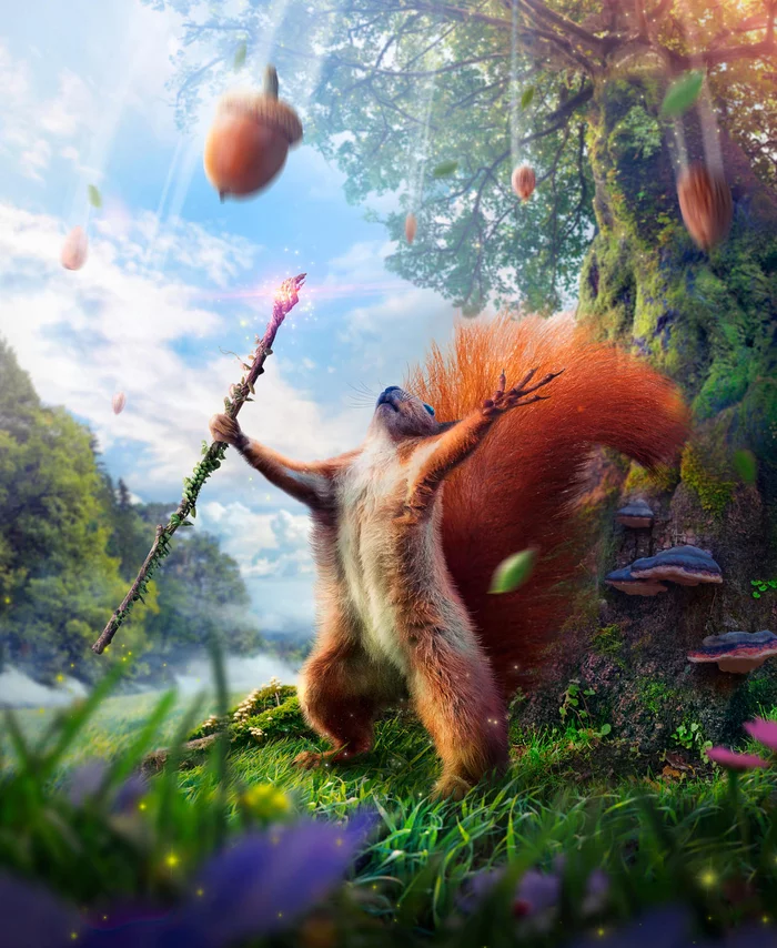 Prophet - Photoshop master, Photoshop, Installation, Squirrel, Acorn, Landscape, Nature